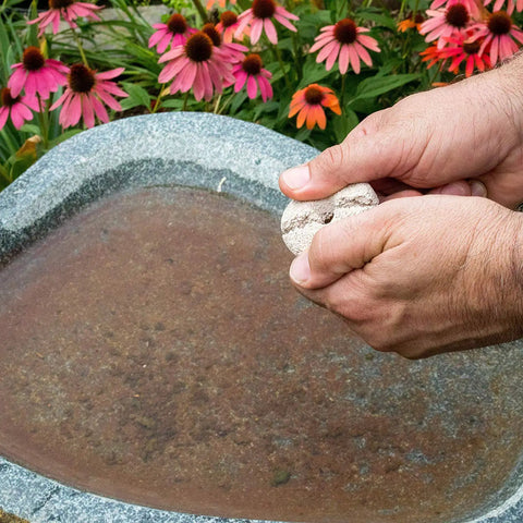 Person dropping Organic Mosquito Dunk Larvicide into a bird bath surrounded by colorful flowers.