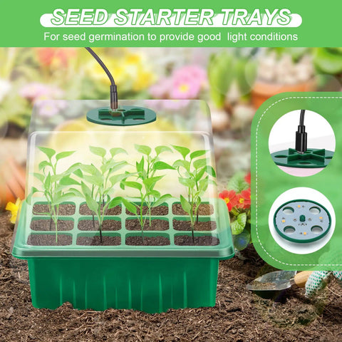 Seed Starter Tray Kit With Grow Lights And Humidity Domes, seedlings sprouting in a 12-cell greenhouse tray indoors