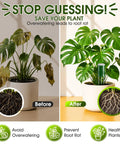 4 In 1 Wireless Soil Tester For Indoor And Outdoor Plants With Real Time Moisture, Temperature, Sunlight Readout And Large Screen, Easy Garden Water Meter For Lawn, Farm, And Houseplants. Before and after potted monstera showing soil meter use.