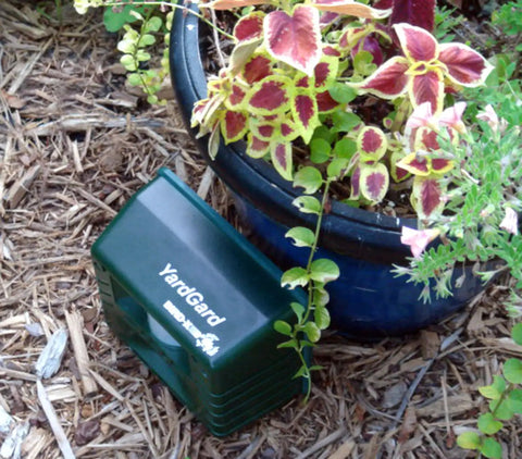 Yard Gard Ultrasonic Animal Repeller for 4000 Sq Ft Keeps Deer, Raccoons, and Skunks Out With Humane No Harm High Frequency Sound Humans Don't Hear But Pests Do for a Safer, Pest Free Backyard placed by a garden pot