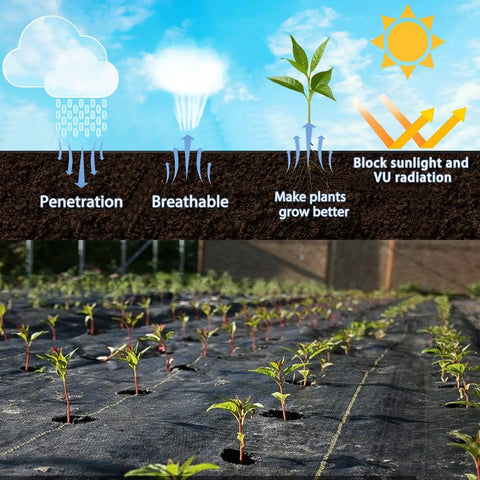 Heavy Duty 3oz Weed Barrier Fabric 4ft By 300ft Permeable Ground Cover For Garden And Lawn Projects installed in a garden