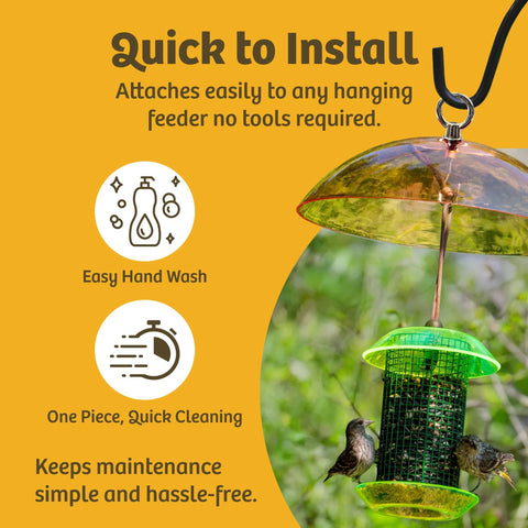 Clear Dome Bird Feeder Rain Guard Ten And A Half Inch Weather Shield with attached feeder and birds.