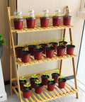Seed Starter Pots With Humidity Domes Set Of 25 Four Inch Nursery Pots, 25 Red Pots And Clear Lids on wooden shelves