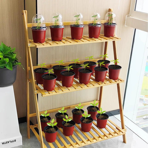 Seed Starter Pots With Humidity Domes Set Of 25 Four Inch Nursery Pots, 25 Red Pots And Clear Lids on wooden shelves