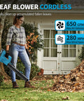 Person using Cordless Leaf Blower 21V With Two 4.0Ah Batteries And Fast Charger Lightweight Electric Yard Blower For Leaves And Dust