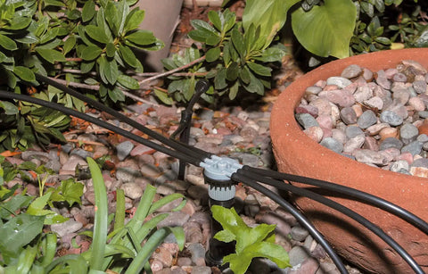 Six Port Drip Irrigation Manifold with Unregulated Free Flow for Easy Backyard Watering Connects Six Tubes to a One Half Inch Riser