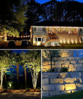 All In One Outdoor Landscape Lighting Kit For Easy No Fuss Setup 8 Pack Low Voltage Uplights illuminating yard, trees, and patio