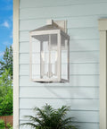 Transitional Three Light Outdoor Wall Lantern From Nyack Collection in brushed nickel on blue siding near plants