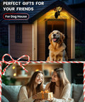 Solar Wall Lanterns Two Pack, Waterproof Decorative Solar Powered Lights illuminating doghouse at night