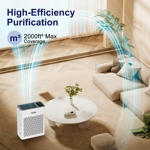 Living room with Large Room Air Purifier With HEPA H13 Filtration And Washable Filter, covering up to 1095 sq ft.