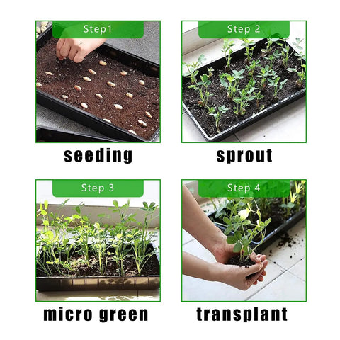 Step-by-step guide using 10 Pack 1020 Seed Tray Set With Extra Thick Heavy Duty No Holes No Leak Reusable Propagation Flats For Microgreens Seedlings Germination Seed Starting Trays Fodder And Transplants 10 By 20 Inches