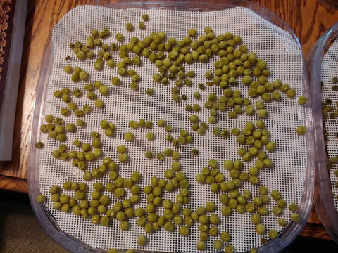 Peas on 8 Pcs Silicone Dehydrator Sheets Set, Premium Non Stick Dehydrator Mats For Food Dehydration, 14x14 Inches