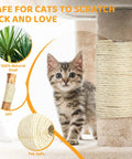 Thick 5mm Sisal Rope For Cat Scratcher Tree 50 Feet Cat Tower Climbing Twine For Scratch Post Replacement And Repair DIY White Easy Fix To Restore Worn Posts shown with kitten