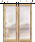 Planum 2102 Interior Barn Bypass Sliding Doors With Frosted Glass And Solid Wood 84 By 96 Inches Black Modern Style