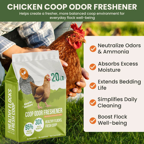 Person holding All Natural Chicken Coop Odor Eliminator And Moisture Absorber 20 lb bag near chicken, outdoors with grass background.