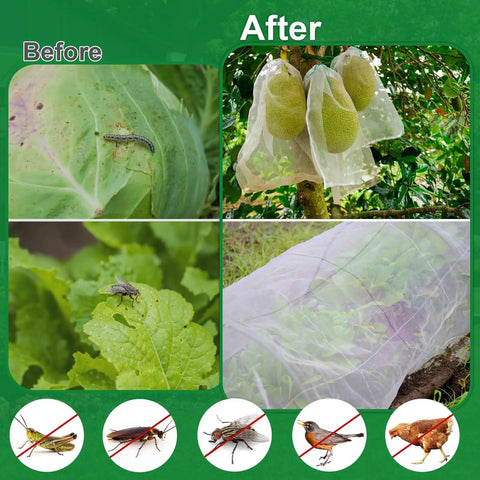 Before and after using Ultra Fine Garden Netting 10x50ft Insect Barrier for Raised Beds And Crops, Mosquito And Bird Protection