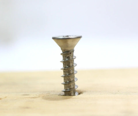 Number Twelve By One Inch Stainless Steel Wood Screws Flat Head Phillips Drive 304 Grade Rust Resistant Decking Fasteners built into wood surface.