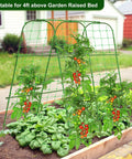 Cucumber Trellis for Raised Garden Bed, Rustproof Metal Garden Arch Trellis with tomatoes climbing, adjustable width, green