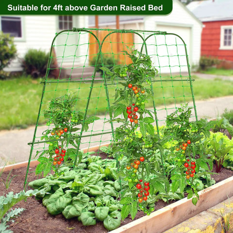Cucumber Trellis for Raised Garden Bed, Rustproof Metal Garden Arch Trellis with tomatoes climbing, adjustable width, green