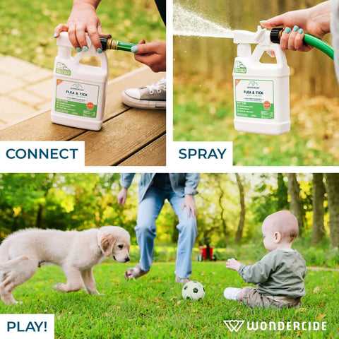 Collage showing Flea Tick And Mosquito Yard Spray With Natural Essential Oils For Pets And Family And Kids Safe Plant Based Ready To Use 32 Oz Kills And Repels Bugs In Your Yard Now in use with a garden hose and playing pets and children.