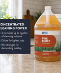 Top Shelf Pine Burst Multi Surface Cleaner in a gallon jug on a kitchen counter demonstrating concentrated cleaning power.