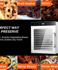 Image of Silent Ten Tray Food Dehydrator Machine Smooth Eight Hundred Watt Electric Kitchen Appliance with snacks and fruits.