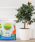 Bag of All Natural Pine Bark Mulch Nuggets For Indoor And Outdoor Pots And Planters Terrariums 30 Quarts Small Chips next to potted plant