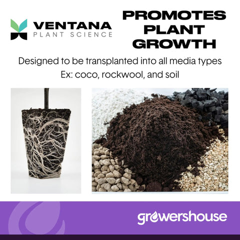 Hydroponic Seed Starter Plugs 50 Pack For Quick Rooting And Growth, Plant Seedlings Clones And Cuttings In Organic Soil Mix