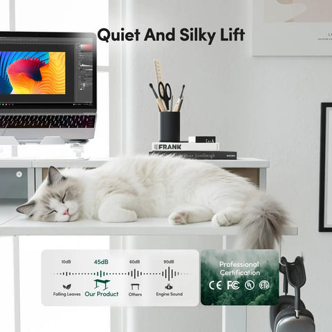 L Shaped Electric Standing Desk With Killer Storage Drawers, 63x48 Inch large workspace with quiet motor and cat resting.