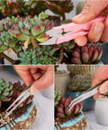 Close-up of 24 Piece Mini Garden Tools Kit for Succulents and Fairy Gardens, featuring pruning shears and tweezers in use on small succulents.