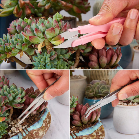 Close-up of 24 Piece Mini Garden Tools Kit for Succulents and Fairy Gardens, featuring pruning shears and tweezers in use on small succulents.