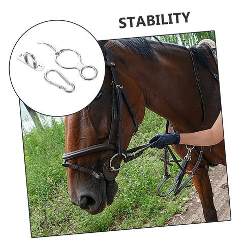 Stainless Steel Horse Stirrup And Tie Ring Set For Trailers And Show Ready Riders with inset showing silver accessory details.