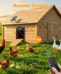 Remote controlling a Hands-Free Solar Powered Automatic Chicken Coop Door With Large 9.45 X 10 Inch Opening featuring chickens