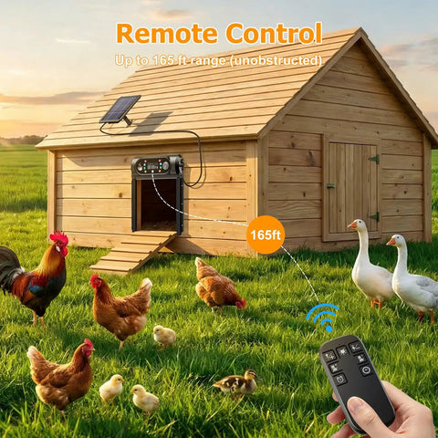Remote controlling a Hands-Free Solar Powered Automatic Chicken Coop Door With Large 9.45 X 10 Inch Opening featuring chickens