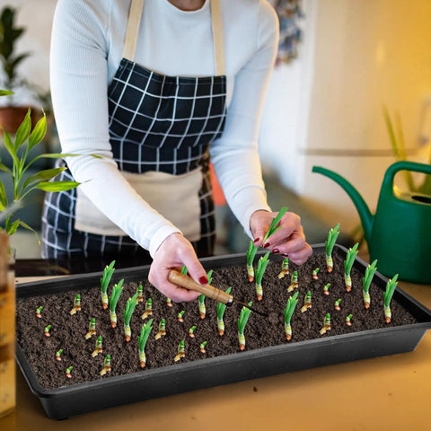 Person planting in 12 Pack Mesh Bottom Seed Starter Trays For Microgreens And Seedlings, 21 By 10.6 Inch Germination Trays