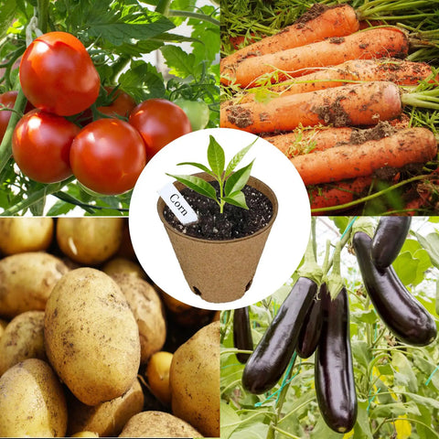 Biodegradable Peat Pots Seed Starter Kit 45 Pack 3.15 Inch With Drainage Holes Includes 30 Plant Labels Seedling Pots with Veggies