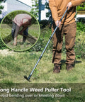 Person using Long Handle Weed Puller Tool 58 Inch, 2 In 1 Weeder Rake And Garden Hoe Combo on lawn, avoiding bending over.