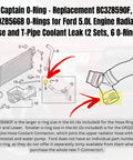 Ford Heavy Duty Coolant System O-Ring Kit Replacement With BC3Z-8590-F And DR3Z-8566-A O-Rings For Select F-Series Trucks