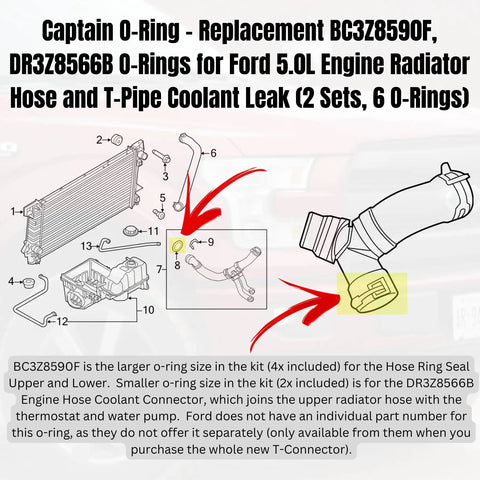 Ford Heavy Duty Coolant System O-Ring Kit Replacement With BC3Z-8590-F And DR3Z-8566-A O-Rings For Select F-Series Trucks
