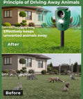 Solar Ultrasonic Deer Repellent With Motion Sensor And Led Flashing Lights For Outdoor Yard Garden And Lawn Keep Deer Cats Raccoons Coyotes And Dogs Away With Waterproof Weatherproof Design in grass