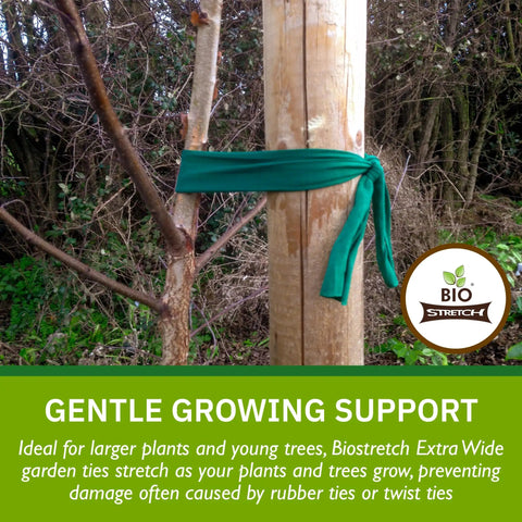 Extra Wide Soft Tree Ties for Big Plants and Young Trees wrapped around tree trunk for gentle support