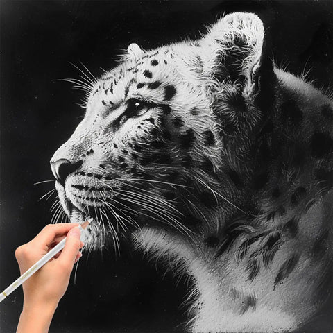 Artist using White Charcoal Pencils Set, Pack of 12 for Drawing and Highlighting to sketch snow leopard on black paper.