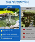 Before and after using Solar Pond Filter With Fountain Pump Kit 8W Outdoor Pond Bird Bath Waterfall DIY Water Feature