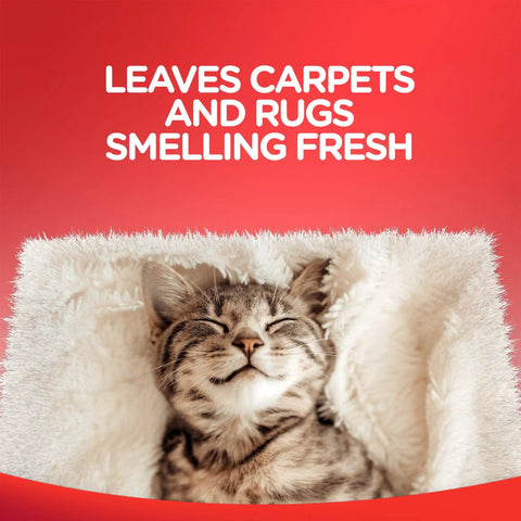 Carpet Cleaner Spray For Stains And Odors Deep Penetrating Spot And Stain Remover That Lifts Tough Messes Rug And Carpet Cleaner Spray 22 Ounce Bottle Odor Neutralizing Formula For Fresh Soft Carpets with a content cat on white carpet.