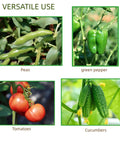 Four types of vegetables grown using 4 Pack 24 Inch Metal Garden Trellises For Climbing Plants Indoor Outdoor Black Trellis For Vines.