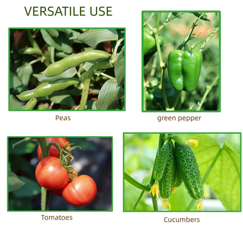 Four types of vegetables grown using 4 Pack 24 Inch Metal Garden Trellises For Climbing Plants Indoor Outdoor Black Trellis For Vines.
