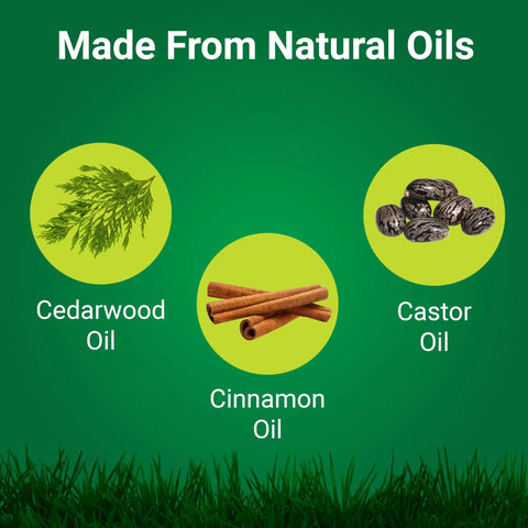 NatureShield Insect And Pest Repellent ingredients showing cedarwood, cinnamon, and castor oils with green background