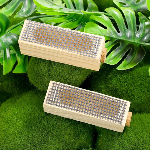 Beekeeping Tool 5 Pack Wooden Cage Queen Cage Beehive Accessory Set With Ventilated Mesh Design on grass background