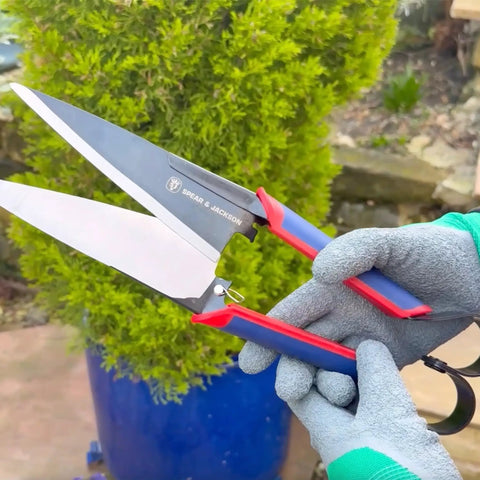 Razorsharp Topiary Shears Pro Grade For Pruning And Shaping Garden Plants Precision High Carbon Steel Blades with Ergonomic Soft Grip Handles