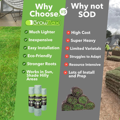 Biodegradable Bermuda Rye Grass Seed Roll With Fertilizer For Lawns Dog Patches And Shade Just Water And Grow No Fake Grass Covers 100 Square Feet Easy To Grow